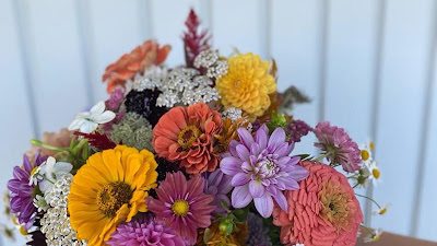 Pensées fleurs à Ergué-Gabéric