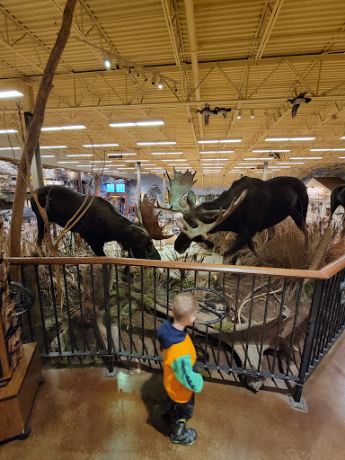 Sporting Goods Store «Bass Pro Shops», reviews and photos, 10000 Bass Pro Blvd, Rossford, OH 43460, USA