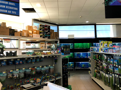 Pet Club South San Francisco