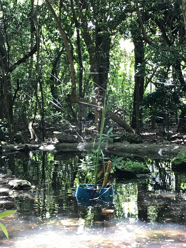 Park «Simpson Park», reviews and photos, 5 SW 17th Rd, Miami, FL 33129, USA