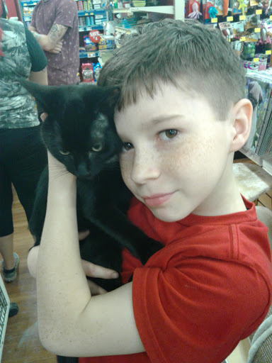 Pet Supply Store «Pet Supermarket», reviews and photos, 226 W 23rd St, Panama City, FL 32405, USA