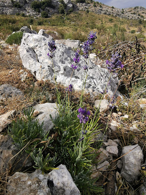 Circuit de l'Embarnier à Gourdon