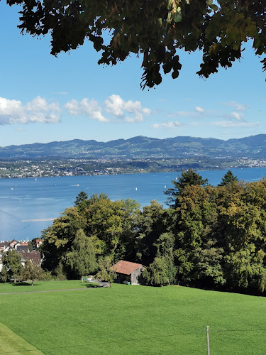 FC Richterswil - Zürich