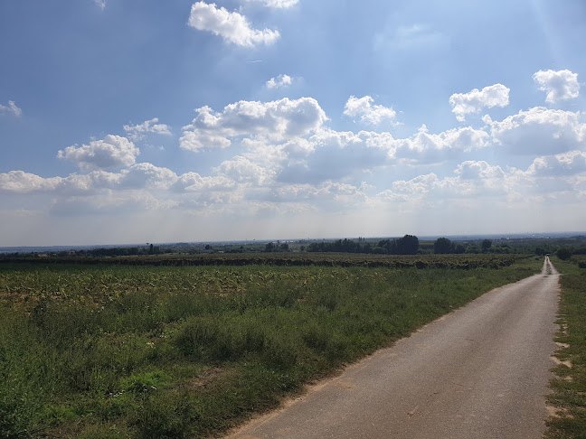 Zengő camping - Kemping