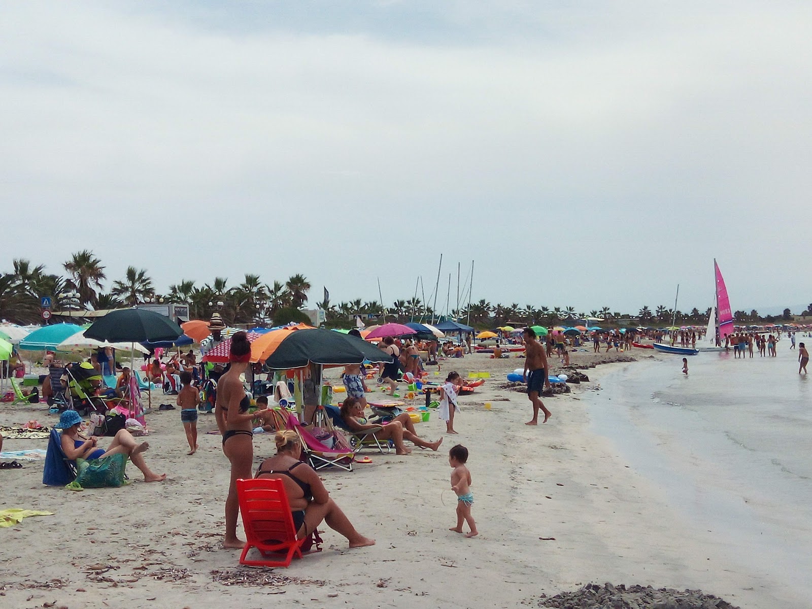 Barracuda beach photo #9