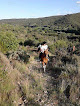 Centre Equestre Du Pont Du Gard Collias