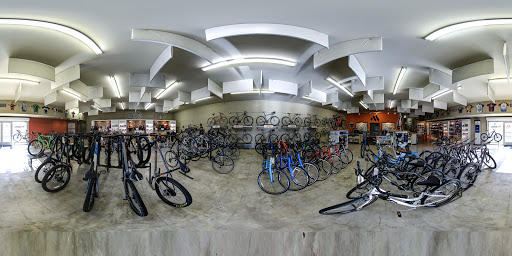 Bicycle Store «McDowell Mountain Cycles», reviews and photos, 11879 N Saguaro Blvd, Fountain Hills, AZ 85268, USA
