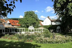 Rosengarten image