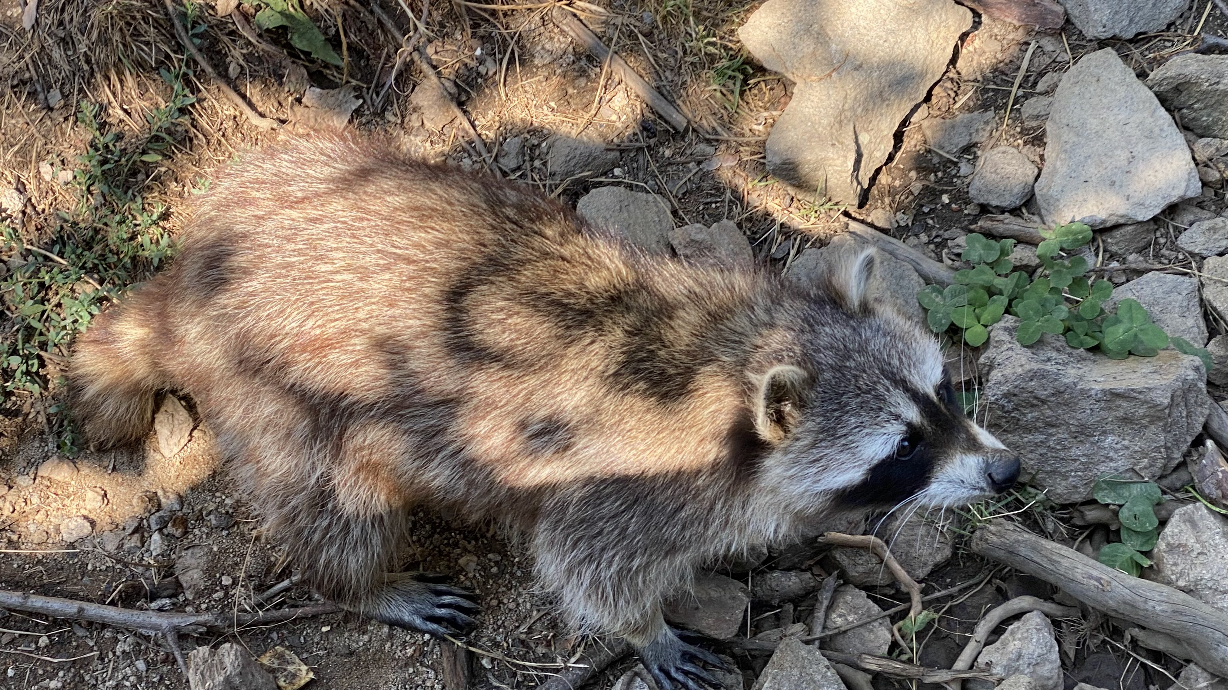 Photo n° 22 de l'avis de Olivier.e fait le 06/08/2022 à 17:29