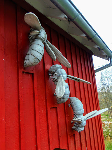 Nature Preserve «Cool Spring Preserve», reviews and photos, 1469 Lloyd Rd, Charles Town, WV 25414, USA