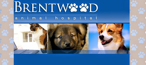 Brentwood Animal Hospital