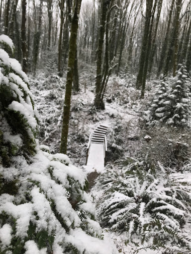 Park «Marquam Nature Park», reviews and photos, SW Marquam St, Portland, OR 97201, USA