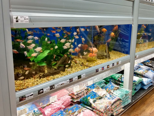 Pet Supply Store «Pet Supermarket», reviews and photos, 1800 W 68th St #140, Hialeah, FL 33014, USA