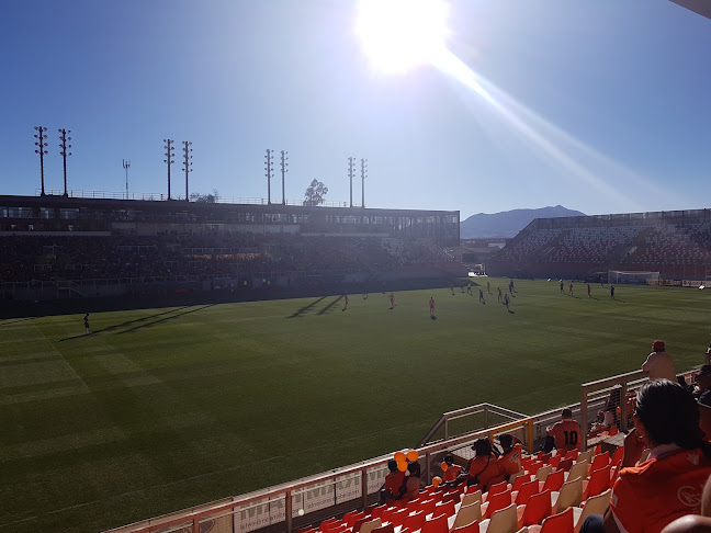 Estadio Municipal Zorros del Desierto - Campo de fútbol