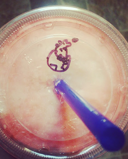 Coffee Shop «Dutch Bros Coffee», reviews and photos, 8940 SW Hall Blvd, Portland, OR 97223, USA