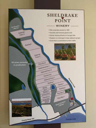 Winery «Sheldrake Point Winery», reviews and photos, 7448 County Rd 153, Ovid, NY 14521, USA