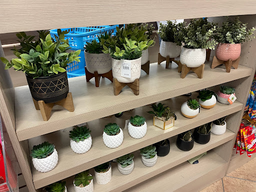 Clothing Store «Bealls Department Store», reviews and photos, 3701 Tamiami Trail E, Naples, FL 34112, USA