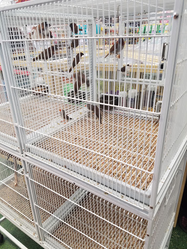 Pet Supply Store «Pet Supermarket», reviews and photos, 6050 Memorial Dr, Stone Mountain, GA 30083, USA