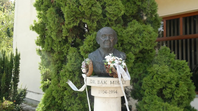 Dr Bak Mihály - Mezőberény