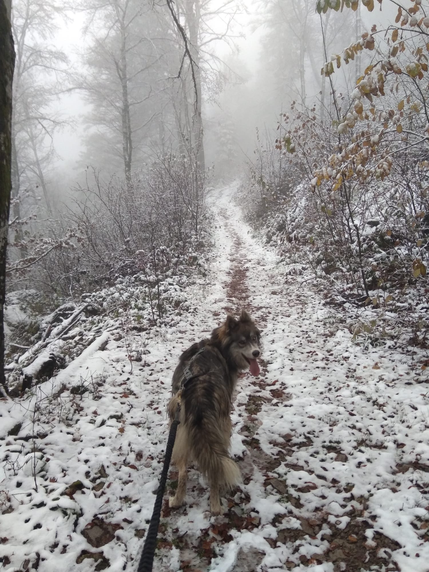 Photo n° 1 de l'avis de Cécile.o fait le 05/01/2024 à 15:16