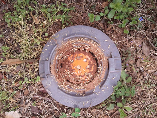 Pest Control Service «Skyline Pest Solutions of Atlanta», reviews and photos