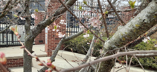 Stadium «Huntington Park», reviews and photos, 330 Huntington Park Ln, Columbus, OH 43215, USA