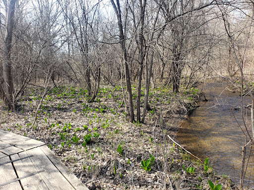 Nature Preserve «Stage Nature Center», reviews and photos, 6685 Coolidge Hwy, Troy, MI 48098, USA