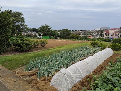 佐江戸会館
