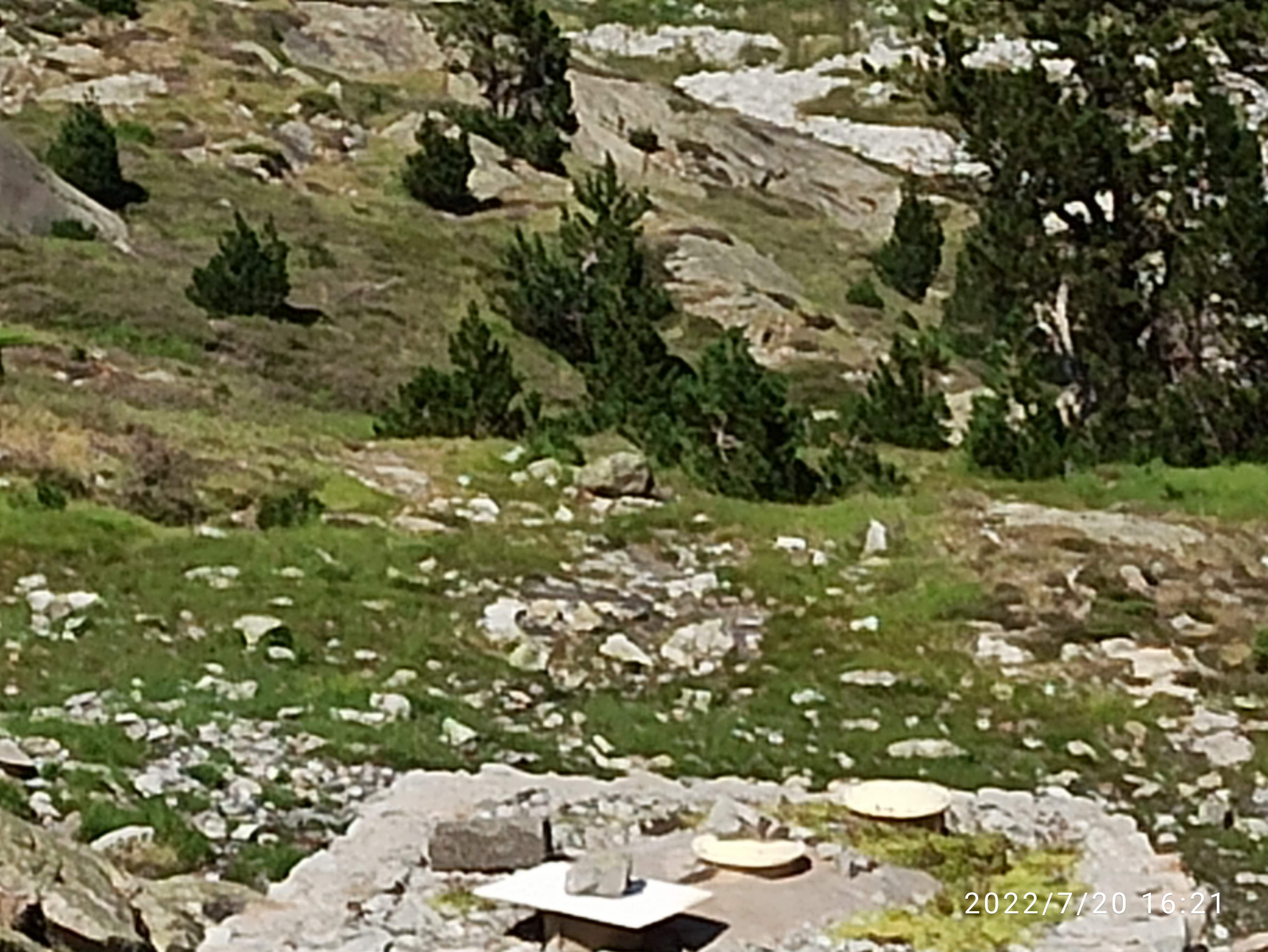 Photo n° 11 de l'avis de Georges.N fait le 27/07/2022 à 16:57