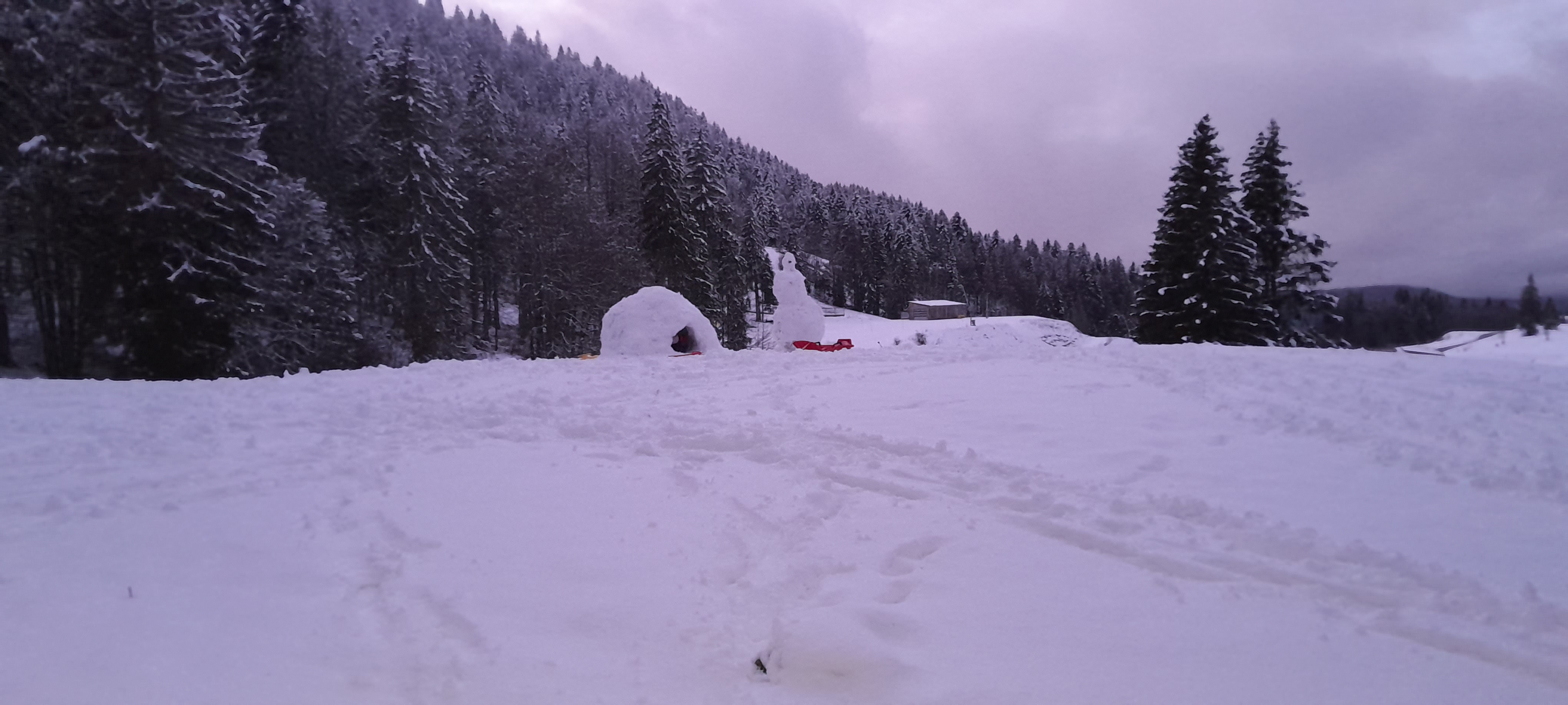 Photo n° 1 de l'avis de Ougier.a fait le 11/01/2024 à 20:40