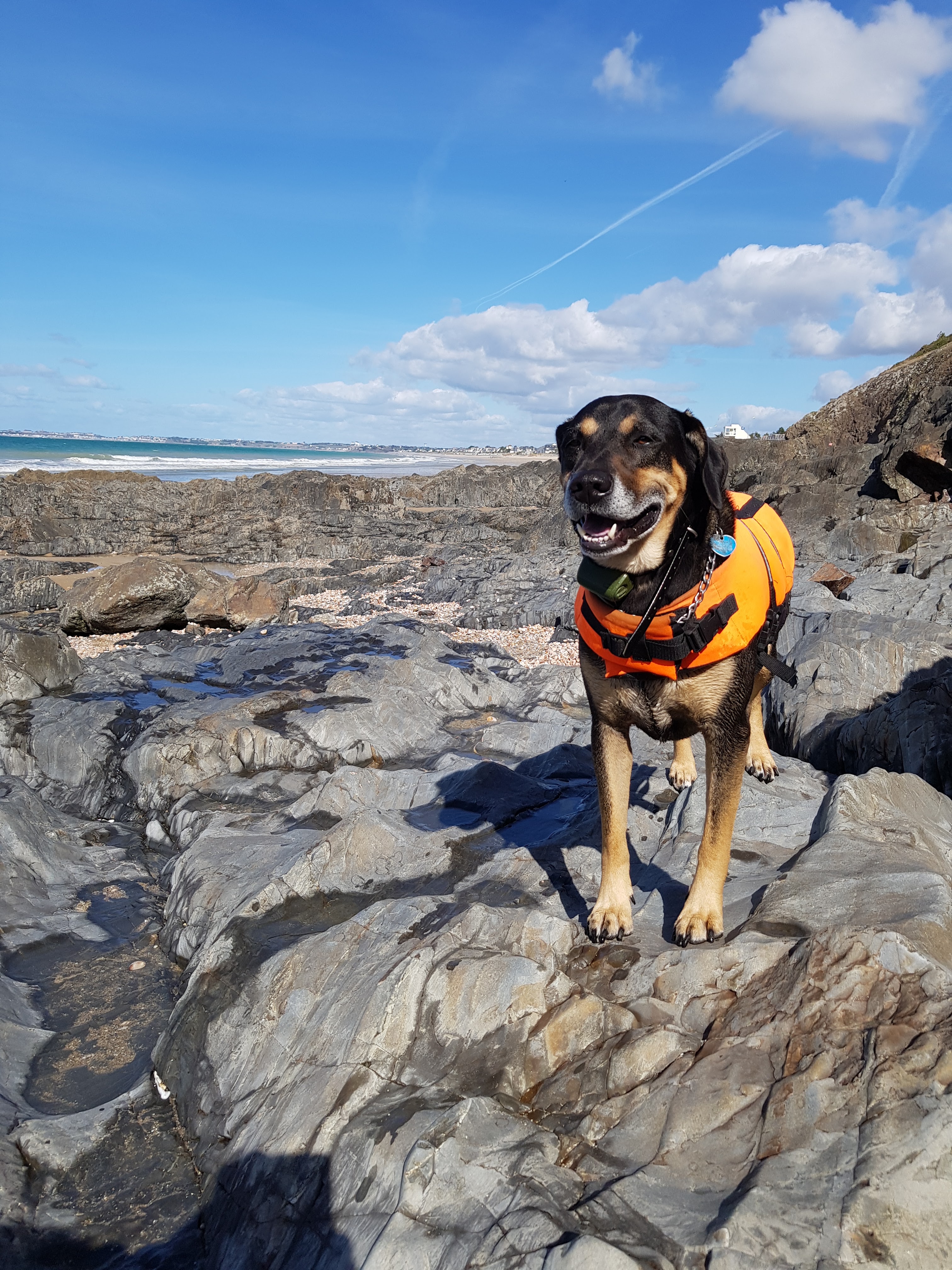 Photo n° 2 de l'avis de martin.e fait le 01/10/2018 à 11:59