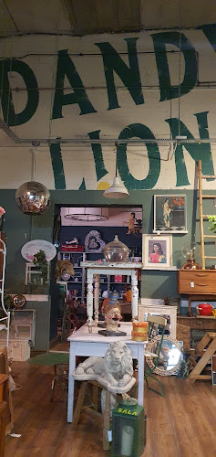 Dandy Lion Shop - Shop