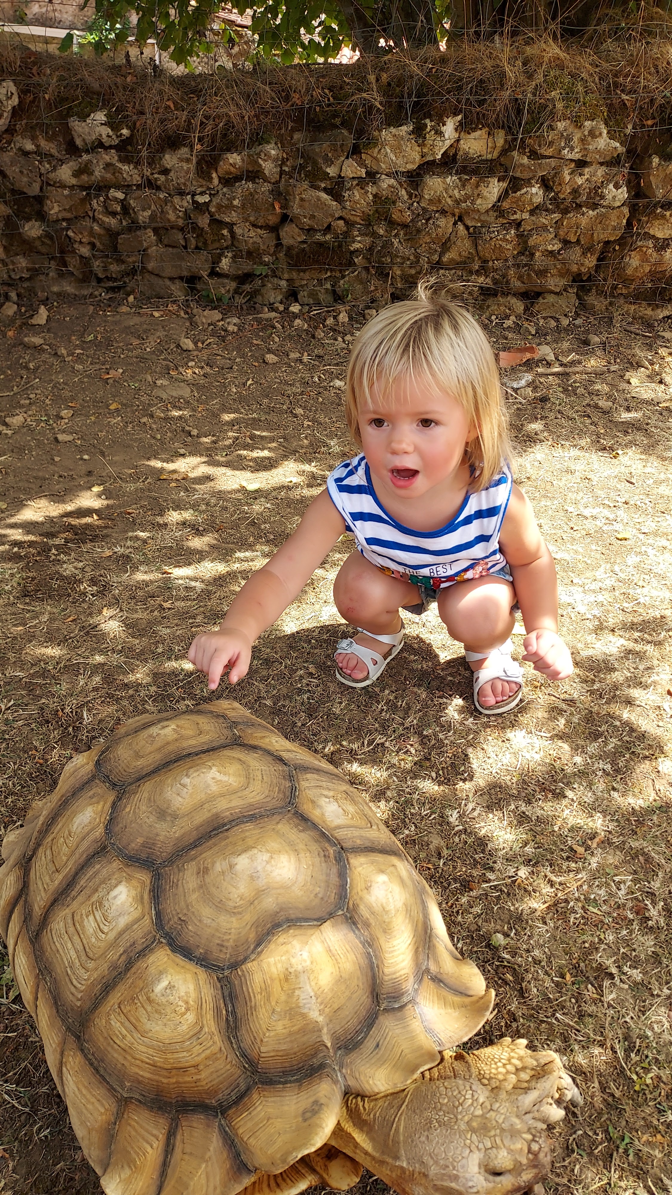 Photo n° 1 de l'avis de Pauline.a fait le 30/08/2022 à 07:01