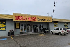 Surplus Herby's image