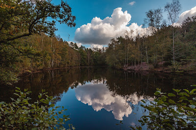 Le miroir aux fées à Paimpont