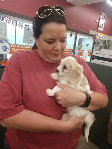 Pet Store «Petland», reviews and photos, 351 Diederich Blvd, Ashland, KY 41101, USA