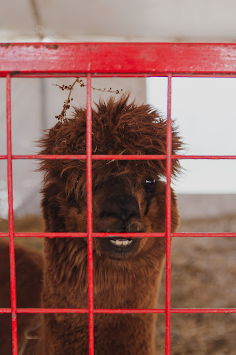 Produce Market «Didier Farms», reviews and photos, 16678 Aptakisic Rd, Lincolnshire, IL 60069, USA