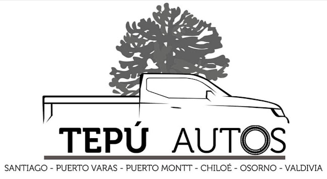 Tepú Autos - Puerto Varas