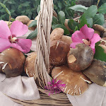 Photo n°1 de l'avis de Gianni.a fait le 16/09/2021 à 18:07 sur le  Ristorante Locanda Di Nonna Gelsa à Niccone