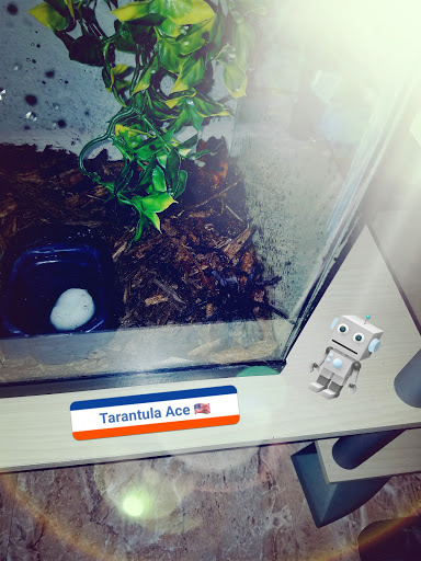 Pet Supply Store «PetSmart», reviews and photos, 2200 E Lohman Ave, Las Cruces, NM 88001, USA