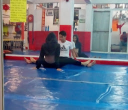 Samoa - Lima Lama . MMA . Judo photo