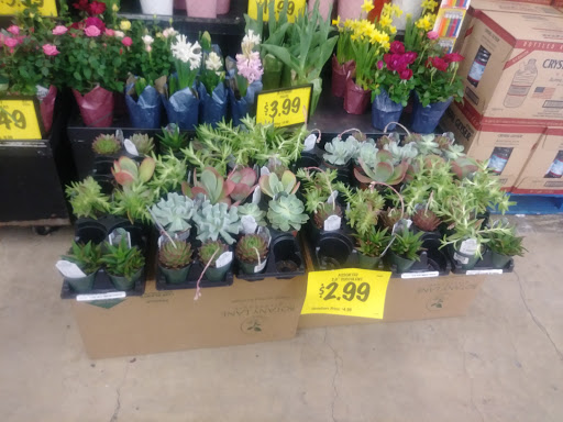 Grocery Store «Grocery Outlet Bargain Market», reviews and photos, 299 D St NE, Salem, OR 97301, USA