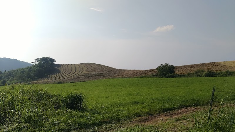 阿原山牧場