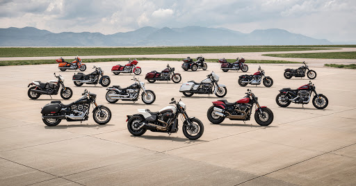 FX Caprara Harley-Davidson image 2