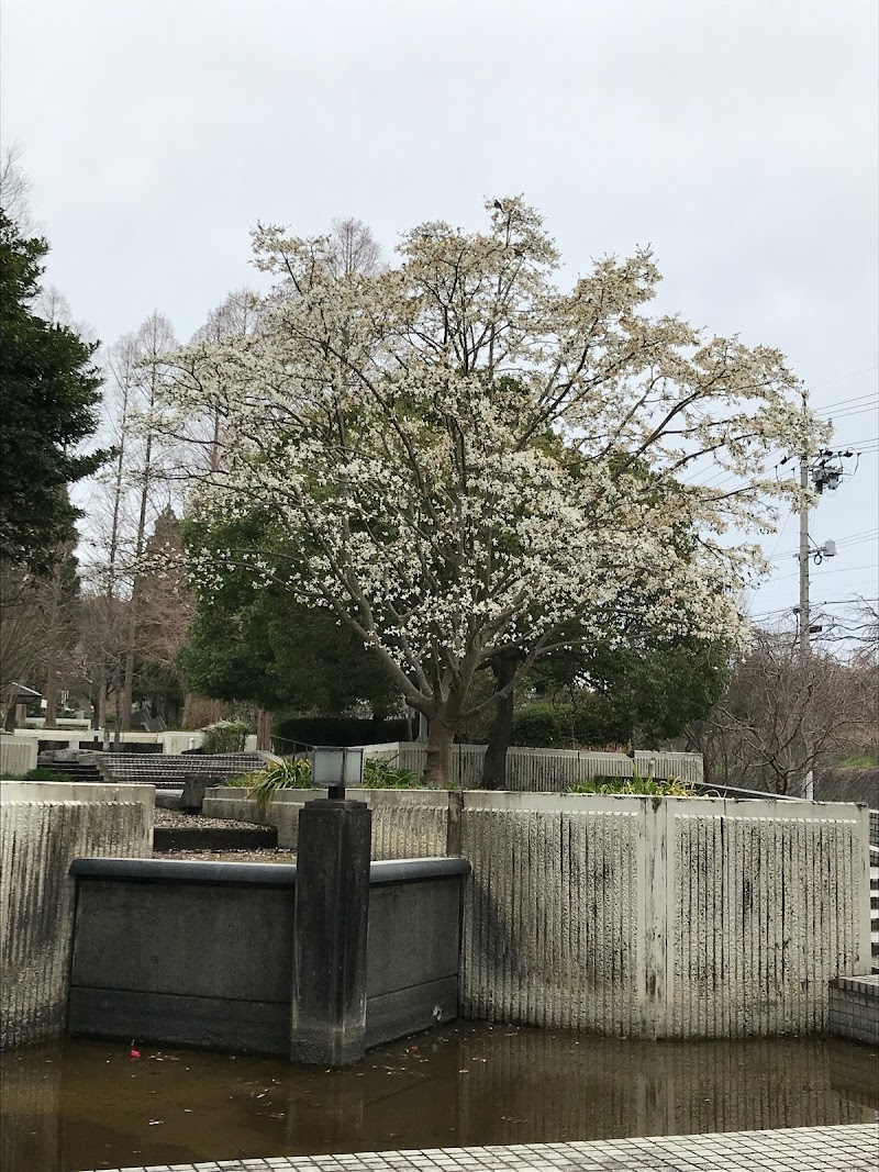 清水日本平運動公園 静岡県静岡市清水区村松 公園 グルコミ
