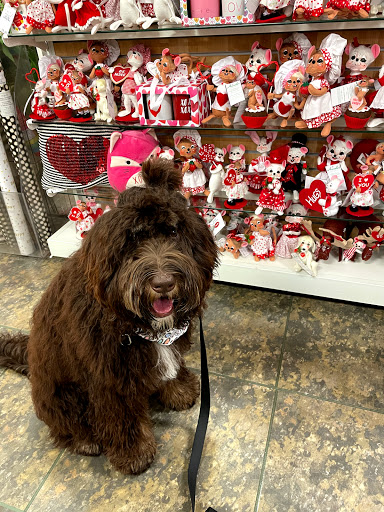 Department Store «HomeGoods», reviews and photos, 961 Lomas Santa Fe Dr, Solana Beach, CA 92075, USA