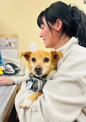 Richfield Area Pet Clinic image