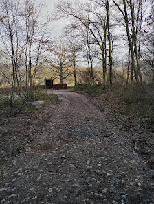 Parcours VTT, et promenades à Vierves-sur-Viroin Rue Chem. du Bois, 5670 Viroinval, Belgique