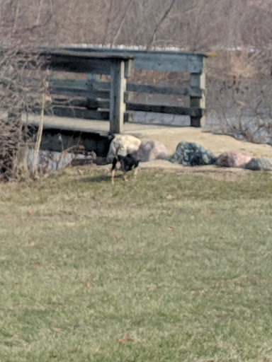 Nature Preserve «Grant Woods Forest Preserve», reviews and photos, 25405 W Monaville Rd, Ingleside, IL 60041, USA