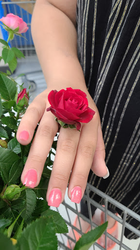 Department Store «Walmart Supercenter», reviews and photos, 30729 Lyon Center Dr, New Hudson, MI 48165, USA